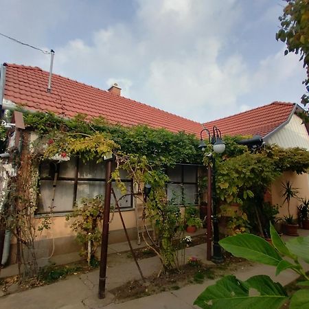 Bundik Vendeghaz Otel Berettyóújfalu Dış mekan fotoğraf